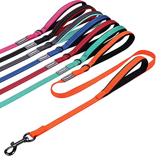 VIVAGLORY Hundeleine mit Zwei Griffen, für Training und Spazierengehen, mit Griff für den Verkehr, Hundeleine mit Griffen, reflektierende Sicherheit, Bequeme Hund Leine, 1.2 m x 1.4 cm, Orange VIVAGLORY Hundeleine mit Zwei Griffen, für Training und Spazierengehen, mit Griff für den Verkehr, Hundeleine mit Griffen, reflektierende Sicherheit, Bequeme Hund Leine, 1.2 m x 1.4 cm, Orange von VIVAGLORY