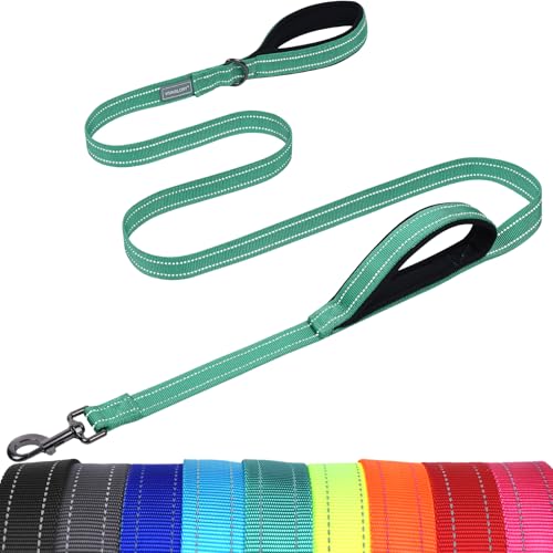 VIVAGLORY Twingrip Führleine Hund, Leine Hund Hausleine Joggingleine, Hundeleine mit 2 Griffen Doppelgriff, Gepolstert Neopren & Reflektierend, 1.2m x 2.5cm, Türkis von VIVAGLORY