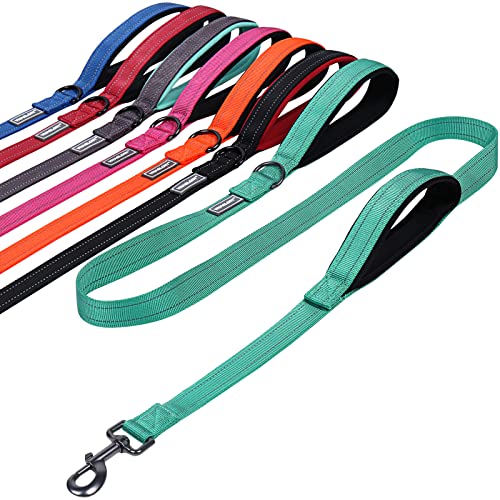 VIVAGLORY Hundeleine mit Zwei Griffen, für Training und Spazierengehen, mit Griff für den Verkehr, Hundeleine mit Griffen, reflektierende Sicherheit, Bequeme Hund Leine, 1.8 m x 2.5 cm, Türkis VIVAGLORY Hundeleine mit Zwei Griffen, für Training und Spazierengehen, mit Griff für den Verkehr, Hundeleine mit Griffen, reflektierende Sicherheit, Bequeme Hund Leine, 1.8 m x 2.5 cm, Türkis von VIVAGLORY