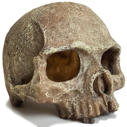 VMCN Aquarium-Dekoration: Totenkopf-Skelett, Höhle, Landschaft, Reptilienhaus, Grau, Harz & Kunststoff, 10,9 cm (L) x 14 cm (B) x 10,2 cm (H), für Süß- und Salzwasser von VMCN