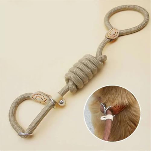 Hundeleine Hund Lange Leinen Outdoor Pet Tracking Leine Seil Langlebige Starke Hundeleine for Mittelgroße Hunde Walking Training 2M/3,0 M/5M/9M(Black,3.0M) von VMDVBNA