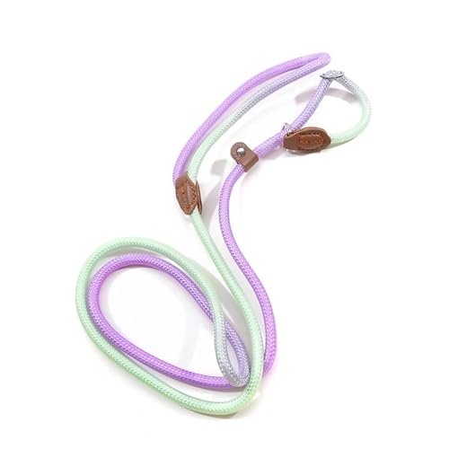 Hundeleine Hundeleinen, Hunde-Rutschleine, Hundetrainingsleine, stark, strapazierfähig, geflochten, kein Ziehen, Trainingsleine for kleine, mittelgroße und große Hunde(Purple Green,M) von VMDVBNA