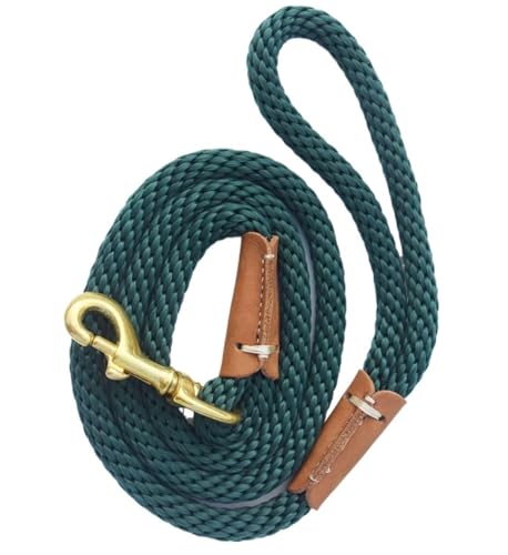 Hundeleine Hundetrainings-Leine-Seil, Hunde-Check-Kordel/leichte kleine, mittelgroße Hunde-Tracking-Leinen, 2 m, 5 m, 10 m, schwarz, rot, Lange Hundeleine(Green,5M(16ft)) von VMDVBNA