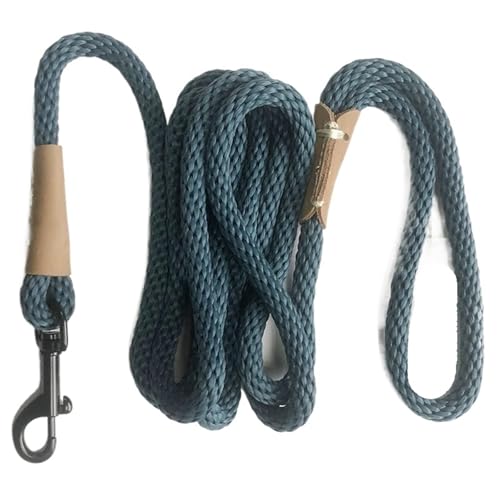 Hundeleine Langlebige Hundekette, explosionsgeschütztes bündiges Haustier-Hundeseil, große Hunde-Bungee-Leine(Orange) von VMDVBNA