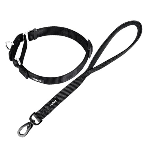 Hundeleine Nylon-Martingale-Hundehalsband und 18-Zoll-Hundeleinen-Sets, Training, Spazierengehen und Kurzstreckenkontrollhunde(Black) von VMDVBNA