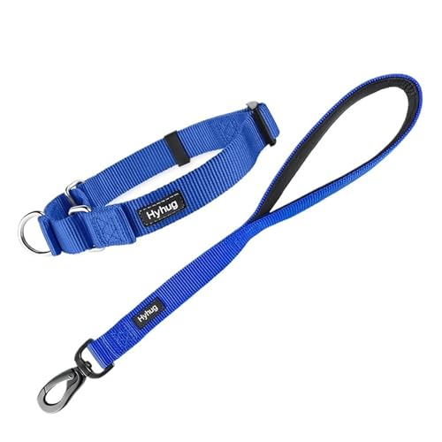Hundeleine Nylon-Martingale-Hundehalsband und 18-Zoll-Hundeleinen-Sets, Training, Spazierengehen und Kurzstreckenkontrollhunde(Blue) von VMDVBNA