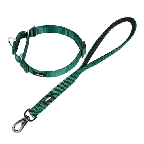 Hundeleine Nylon-Martingale-Hundehalsband und 18-Zoll-Hundeleinen-Sets, Training, Spazierengehen und Kurzstreckenkontrollhunde(Dark Green) von VMDVBNA