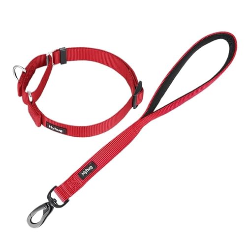 Hundeleine Nylon-Martingale-Hundehalsband und 18-Zoll-Hundeleinen-Sets, Training, Spazierengehen und Kurzstreckenkontrollhunde(Dark Red) von VMDVBNA