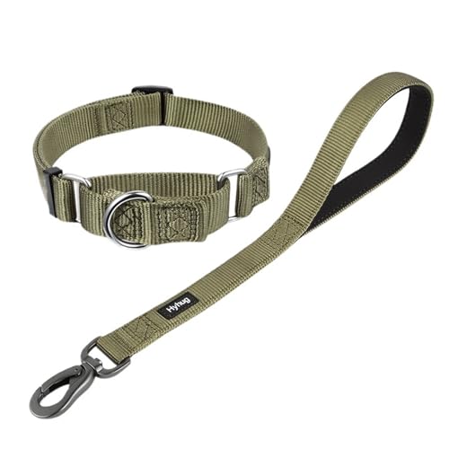 Hundeleine Nylon-Martingale-Hundehalsband und 18-Zoll-Hundeleinen-Sets, Training, Spazierengehen und Kurzstreckenkontrollhunde(Green1) von VMDVBNA