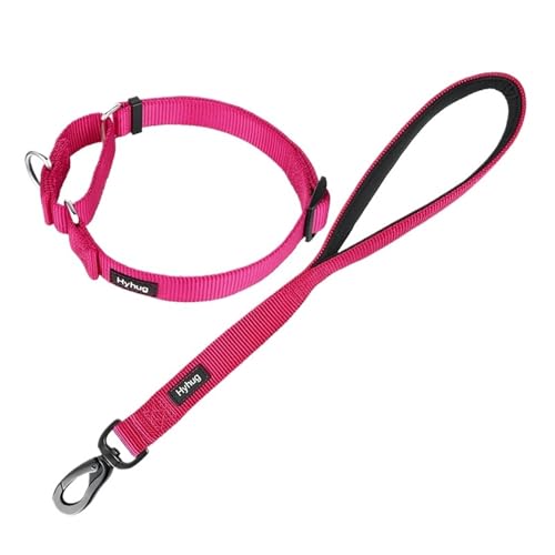 Hundeleine Nylon-Martingale-Hundehalsband und 18-Zoll-Hundeleinen-Sets, Training, Spazierengehen und Kurzstreckenkontrollhunde(Rose Red) von VMDVBNA