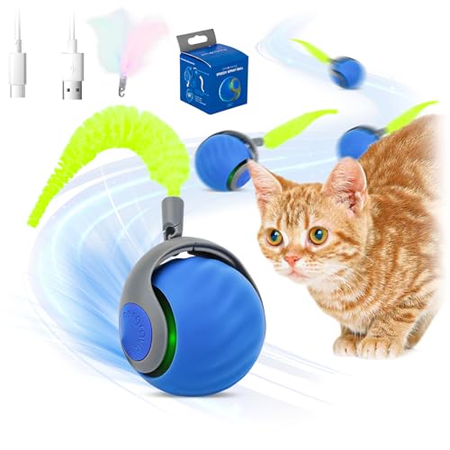 VMUTGA Speedy Tail Cat Toy, King of Interactive mit LED Licht Selbstbeschäftigung, Interaktives Katzenspielzeug mit USB, Interaktives Katzenspielzeug Elektrisch Pet Ball Wiederaufladbar VMUTGA Speedy Tail Cat Toy, King of Interactive mit LED Licht Selbstbeschäftigung, Interaktives Katzenspielzeug mit USB, Interaktives Katzenspielzeug Elektrisch Pet Ball Wiederaufladbar von VMUTGA