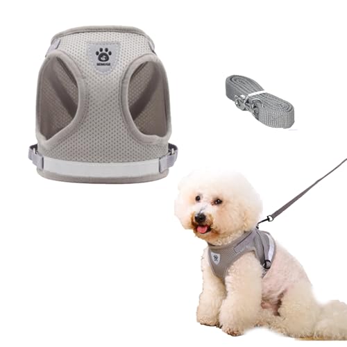 Katzengeschirr, weiche Katzenleine und -geschirr-Set, für kleine Katzen, ausbruchsicher, Katzengeschirre und Leine, ausbruchsicher, für extra kleine Hunde und Katzen (unter 1,4 kg) von VNIDJGB