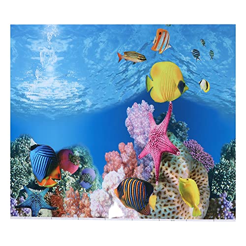 VOCOSTE Aquarium Hintergrund Poster Aquarium Dekoration Aufkleber 32,28" x27,56 von VOCOSTE
