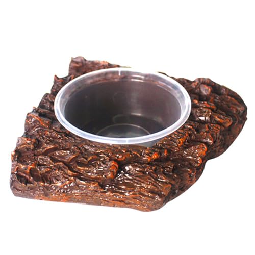 VOCUE Reptilien Feeder Fütterung Fütterung für BeardedDragon Futter Feeder Futternapf für Eidechsen mit Napf VOCUE Reptilien Feeder Fütterung Fütterung für BeardedDragon Futter Feeder Futternapf für Eidechsen mit Napf von VOCUE