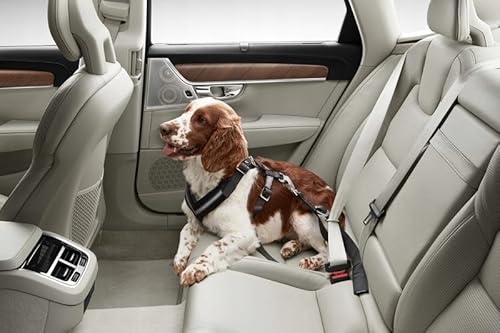 VOLVO Hundegurt bis zu 60kg für den Rücksitz von VOLVO