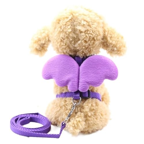 Niedliches Hundegeschirr mit Engelsflügeln, atmungsaktives Mesh-Leine-Set for kleine Hunde, Welpen, Brusthalsband, Frühling und Sommer, for Spaziergänge mit dem Hund, Heimtierbedarf (Color : Purple-B Niedliches Hundegeschirr mit Engelsflügeln, atmungsaktives Mesh-Leine-Set for kleine Hunde, Welpen, Brusthalsband, Frühling und Sommer, for Spaziergänge mit dem Hund, Heimtierbedarf (Color : Purple-B von VOODUE