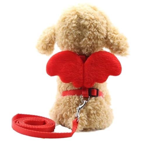 Niedliches Hundegeschirr mit Engelsflügeln, atmungsaktives Mesh-Leine-Set for kleine Hunde, Welpen, Brusthalsband, Frühling und Sommer, for Spaziergänge mit dem Hund, Heimtierbedarf (Color : Red-B, Niedliches Hundegeschirr mit Engelsflügeln, atmungsaktives Mesh-Leine-Set for kleine Hunde, Welpen, Brusthalsband, Frühling und Sommer, for Spaziergänge mit dem Hund, Heimtierbedarf (Color : Red-B, von VOODUE