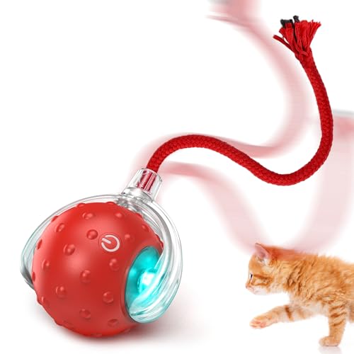 VORZOKISPL Katzenspielzeuge im Haus, interaktives Spielzeug für Katzen, automatischer Katzenball mit Zwitschgeräuschen, zufällige Bewegung und Spiel für Katze und Maus VORZOKISPL Katzenspielzeuge im Haus, interaktives Spielzeug für Katzen, automatischer Katzenball mit Zwitschgeräuschen, zufällige Bewegung und Spiel für Katze und Maus von VORZOKISPL