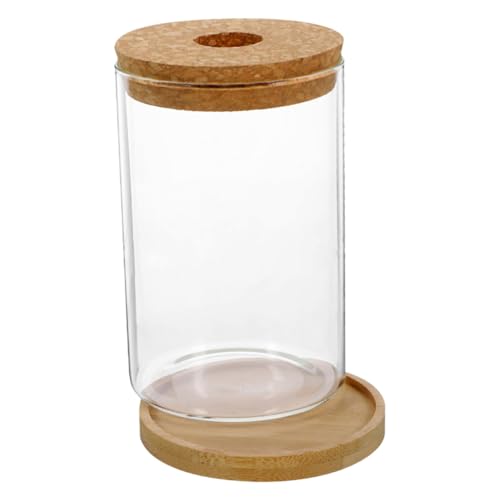 VOSAREA 1 Satz hydroponische Vase blumentöpfe blumenkübel Pflanzenhalter Plant pots tischdeko esstisch terrarien Links Behälter für hydroponische Pflanzen Glasbehälter für Terrarium Bambus VOSAREA 1 Satz hydroponische Vase blumentöpfe blumenkübel Pflanzenhalter Plant pots tischdeko esstisch terrarien Links Behälter für hydroponische Pflanzen Glasbehälter für Terrarium Bambus von VOSAREA