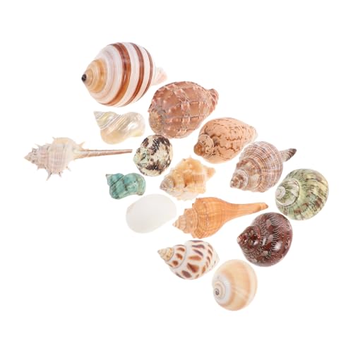 VOSAREA 15 Stück Muscheln Natürliche Schneckenhäuser für Aquarium Dekoration für DIY Bastelprojekte und Strandpartys Fischfreundliche Landschaftsornamente VOSAREA 15 Stück Muscheln Natürliche Schneckenhäuser für Aquarium Dekoration für DIY Bastelprojekte und Strandpartys Fischfreundliche Landschaftsornamente von VOSAREA