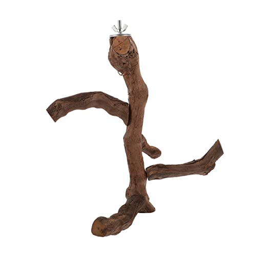 VOSAREA Naturholz Vogel Spielplatz für Papageien Einstellbare Sitzstange aus Hochwertigem Holz für Haustiervögel zu Installieren Bietet und VOSAREA Naturholz Vogel Spielplatz für Papageien Einstellbare Sitzstange aus Hochwertigem Holz für Haustiervögel zu Installieren Bietet und von VOSAREA
