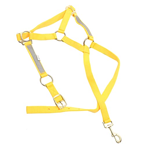 VOSAREA Verstellbares Pferdehalfter mit Reflektierendem Design Cob und Tragbar für Pferdesport Sicheres Zubehör für Dunkle Umgebungen VOSAREA Verstellbares Pferdehalfter mit Reflektierendem Design Cob und Tragbar für Pferdesport Sicheres Zubehör für Dunkle Umgebungen von VOSAREA