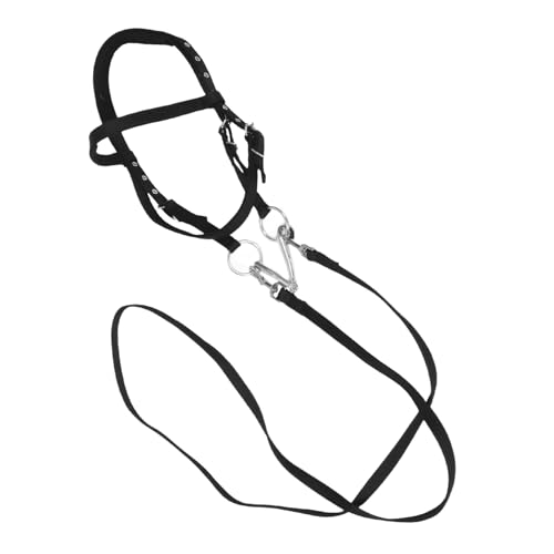 VOSAREA Vielseitiges Nylon Pferdehalfter für Robustes und Bequemes Zaumzeug für Optimale Passform für Training für Pferde Schulterhöhe VOSAREA Vielseitiges Nylon Pferdehalfter für Robustes und Bequemes Zaumzeug für Optimale Passform für Training für Pferde Schulterhöhe von VOSAREA