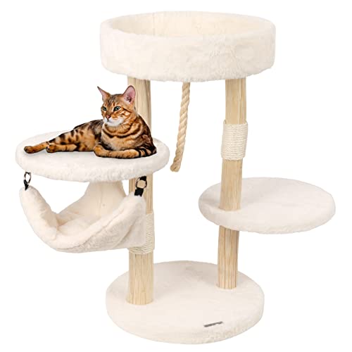 VOSS.PET Kratzbaum Berry 73cm – Premium Katzenbaum mit Naturholz vom Tanoak Baum, Katzenkratzbaum, Kletterbaum mit Echtholzstämmen VOSS.PET Kratzbaum Berry 73cm – Premium Katzenbaum mit Naturholz vom Tanoak Baum, Katzenkratzbaum, Kletterbaum mit Echtholzstämmen von VOSS.PET