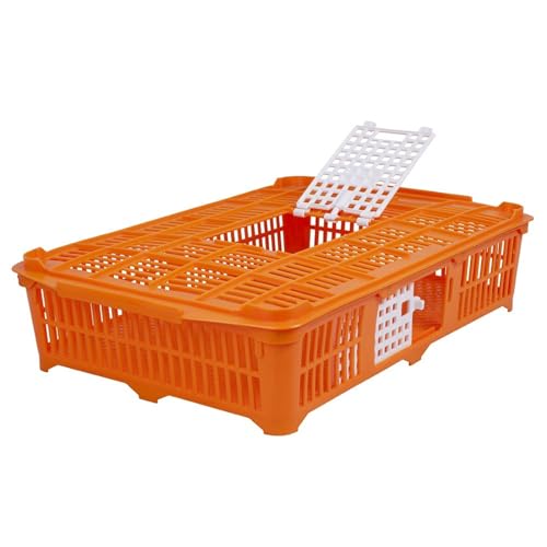 Geflügeltransportkiste für Tauben/Wachteln, orange, 67x40x13 cm Geflügeltransportkiste für Tauben/Wachteln, orange, 67x40x13 cm von VOSS.farming