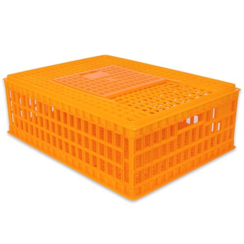 VOSS.farming Geflügel Transportkiste, 74x55x30cm, Transportbox, extra robust, mit Schiebetür, für Hühner, Enten, Wachteln, Zwerghühner, orange VOSS.farming Geflügel Transportkiste, 74x55x30cm, Transportbox, extra robust, mit Schiebetür, für Hühner, Enten, Wachteln, Zwerghühner, orange von VOSS.farming