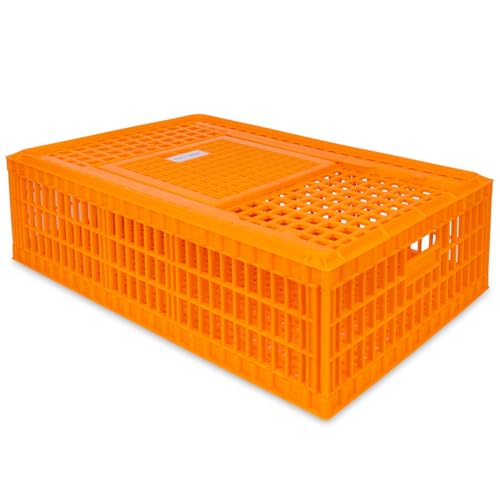 VOSS.farming Geflügel Transportkiste, 98x58x27cm, Transportbox, extra robust, mit Schiebetür, für Hühner, Enten, Wachteln, Zwerghühner, Gänse, Puten, orange VOSS.farming Geflügel Transportkiste, 98x58x27cm, Transportbox, extra robust, mit Schiebetür, für Hühner, Enten, Wachteln, Zwerghühner, Gänse, Puten, orange von VOSS.farming