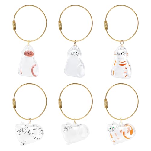 VOSSOT 6er-Pack Cat Hair Storage,Katzenhaar SchlüSselanhäNger,KatzenanhäNger Katze SchlüSselanhäNger,Transparent Acryl Cat Hair Storage Box Pendants,Cat Fur Keepsake Keychain von VOSSOT