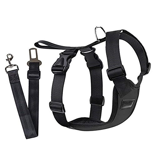 VOYAGE Hundesicherheitsgurt, Verstellbar Auto Hunde Sicherheitsgurt Hundegurt Sicherheitsgeschirr mit Autosicherheitsgurt Clip VOYAGE Hundesicherheitsgurt, Verstellbar Auto Hunde Sicherheitsgurt Hundegurt Sicherheitsgeschirr mit Autosicherheitsgurt Clip von VOYAGE
