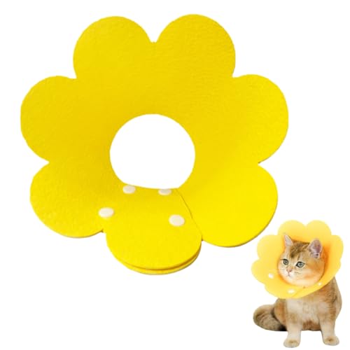 Halskrause Katze, 1 Stück Halskrause Haustiere Verstellbares Weiches Halsban Schützender Kragen, Weich Schutzhalsband Kegelhalsbänder Genesungshalsband, Haustier Elisabethanischer für Katzen kleine Halskrause Katze, 1 Stück Halskrause Haustiere Verstellbares Weiches Halsban Schützender Kragen, Weich Schutzhalsband Kegelhalsbänder Genesungshalsband, Haustier Elisabethanischer für Katzen kleine von VQEOEOT