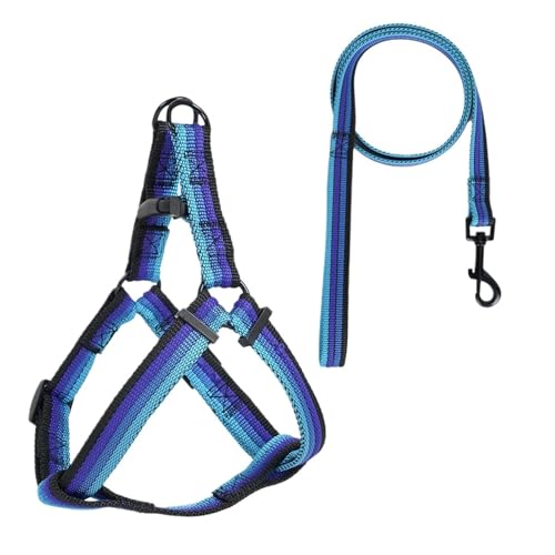1 stücke Haustier Brust Zurück Set Hund Brust Zurück Out Walking Hundeleine for Innen-und Außenbereich(Blue,XL) von VRKRTVBLB