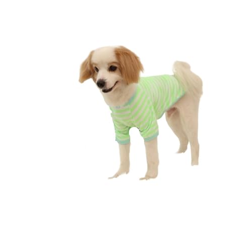2 stücke Haustier Kleidung Weste Kühlung Hemd Kleine Sweatshirt Xs-XXL Sommer Haustier Tank Top(Green,S) von VRKRTVBLB