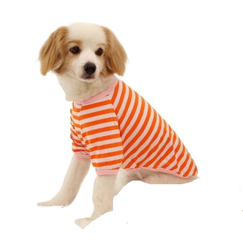 2 stücke Haustier Kleidung Weste Kühlung Hemd Kleine Sweatshirt Xs-XXL Sommer Haustier Tank Top(Orange,S) von VRKRTVBLB