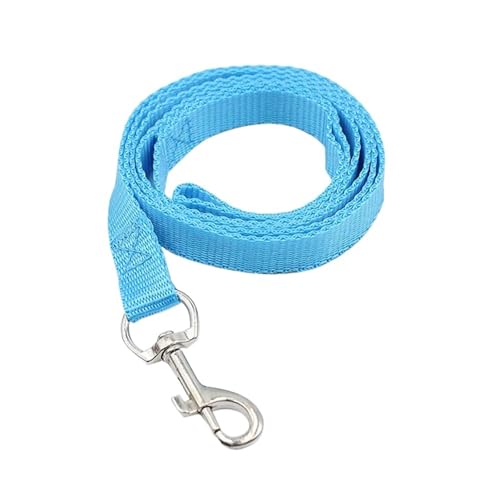 4pc Nylon Haustier Leine Licht Tragbare for Kleine Hunde Pet Puppy Walking Führt Zugseil(Blue,2 * 120CM) von VRKRTVBLB