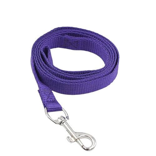 4pc Nylon Haustier Leine Licht Tragbare for Kleine Hunde Pet Puppy Walking Führt Zugseil(Purple,2 * 120CM) von VRKRTVBLB