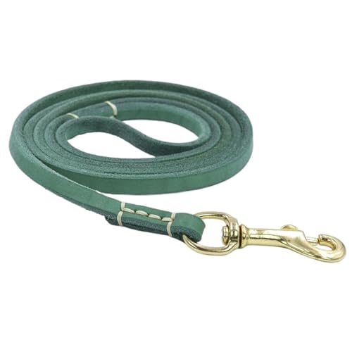 Genuine Leather Small Medium Dog Leash Handmade Durable Portable Light Soft Real Leather Leash for Small Dogs Cats(Green,1 * 155cm) von VRKRTVBLB