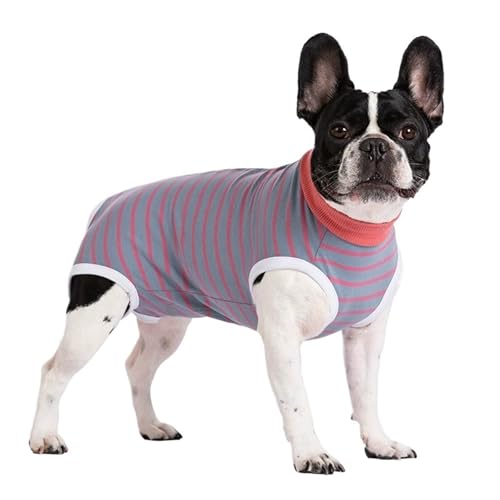 Haustier-Erholungsanzug aus Baumwolle nach Operationen, Anti-Lecken-Overall mit geschlossenem Bauch for kleine und mittelgroße Hunde und Katzen(H,XS) von VRKRTVBLB