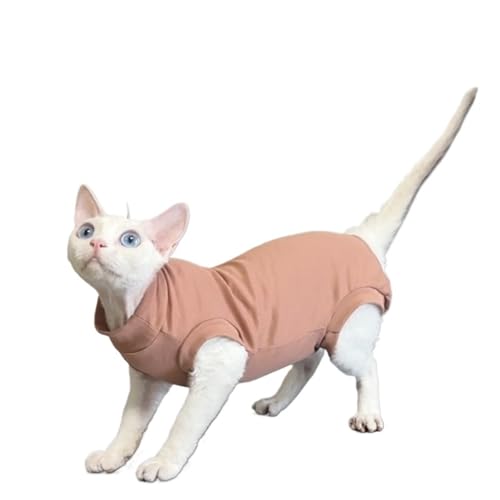 Haustier-Sommer-T-Shirt for Kätzchen Neckholder-Tops for Katzenpyjamas for kleine und mittelgroße Hunde(Orange,M) von VRKRTVBLB
