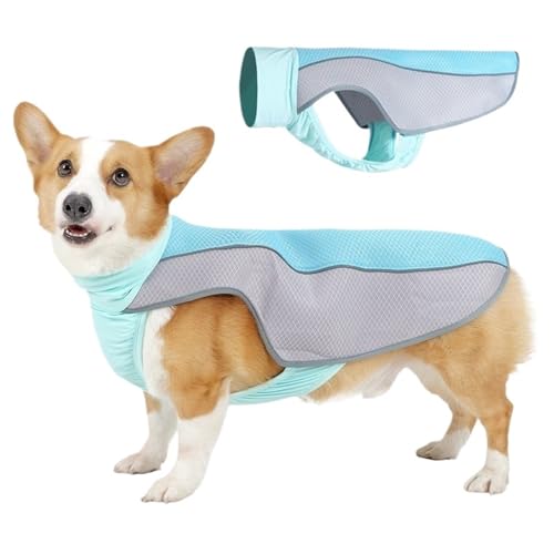 Haustier Sommerkleidung Hitzschlag Prävention und Kühlung Hund Coole Kleidung Reflektierend Atmungsaktiv(A Blue,M) von VRKRTVBLB