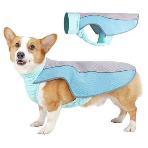 Haustier Sommerkleidung Hitzschlag Prävention und Kühlung Hund Coole Kleidung Reflektierend Atmungsaktiv(B Blue,L) von VRKRTVBLB