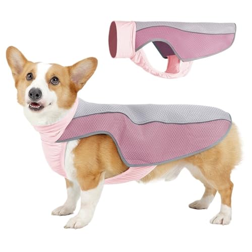 Haustier Sommerkleidung Hitzschlag Prävention und Kühlung Hund Coole Kleidung Reflektierend Atmungsaktiv(B pink,M) von VRKRTVBLB