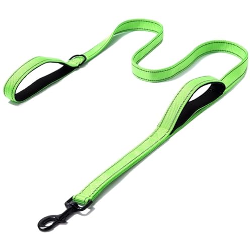 Haustierleine, dehnbar, 2,5 x 150 cm, 2,5 x 180 cm, Nylon, reflektierend, geeignet for kleine, mittelgroße und große Hunde(Green,2.5 * 150cm) von VRKRTVBLB