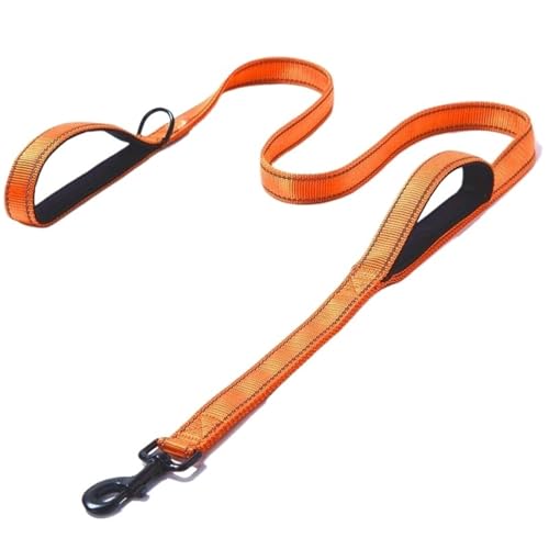 Haustierleine, dehnbar, 2,5 x 150 cm, 2,5 x 180 cm, Nylon, reflektierend, geeignet for kleine, mittelgroße und große Hunde(Orange,2.5 * 180cm) von VRKRTVBLB