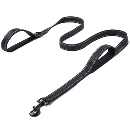 Haustierleine, dehnbares Nylon, reflektierend, geeignet for kleine, mittelgroße und große Hunde(Black,2.5 * 180cm) von VRKRTVBLB