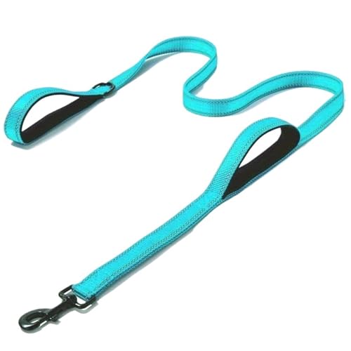 Haustierleine, dehnbares Nylon, reflektierend, geeignet for kleine, mittelgroße und große Hunde(Blue,2.5 * 180cm) von VRKRTVBLB
