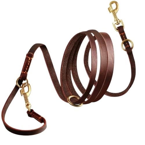 Haustierleine, multifunktional, verstellbar, freihändig, Crossbody-Doppelleine for alle Hunde(Brown,1.2 * 240cm) von VRKRTVBLB